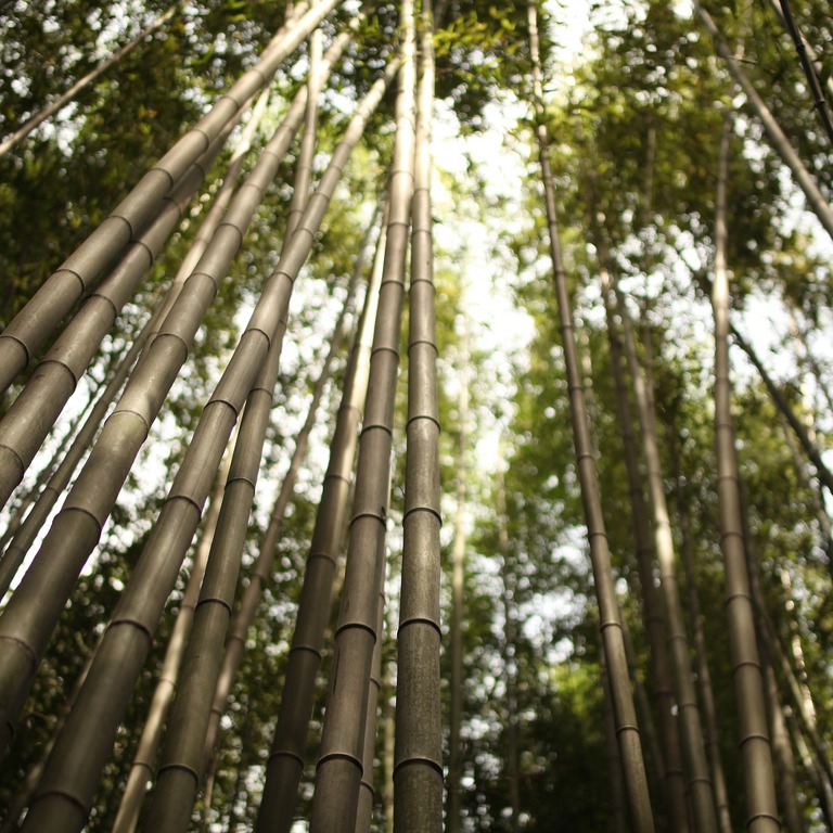 Tossランド きつつき 全１２時間 第９ １２時