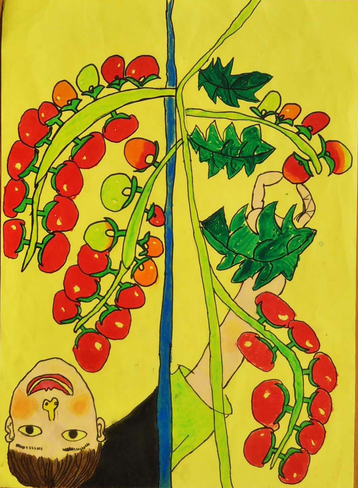 子ども絵画館7・酒井式シナリオ「ミニトマトとぼく・私