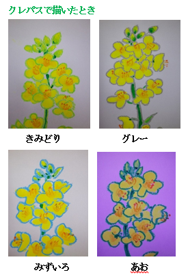 Tossランド 菜の花で学級を飾ろう