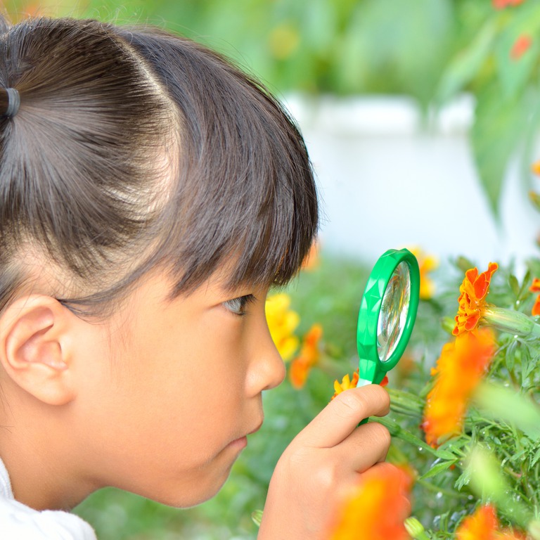 Tossランド あれども見えずを意識した 植物の花のつくり の授業