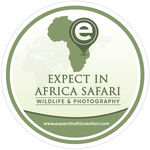 Expect in africa wheel cover
