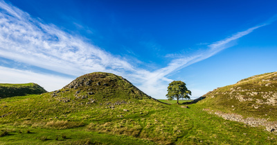 Sycamoregap