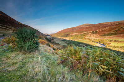 Cheviotvalleyintoautumn 1