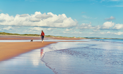 Northumberlandbeachwalking
