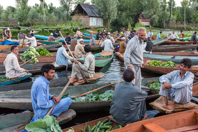 Dallakeinsrinagardreamstimexxl106118339