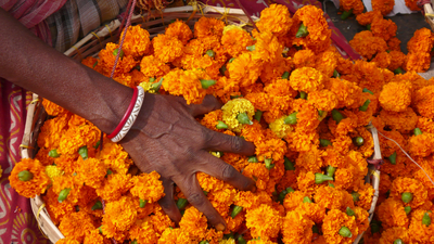 Calcuttaflowermarketdt