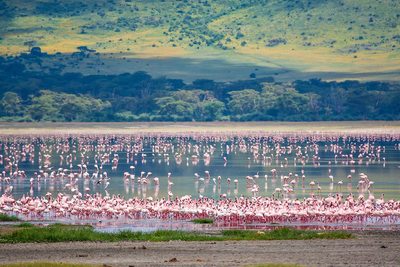 Lake manyara9
