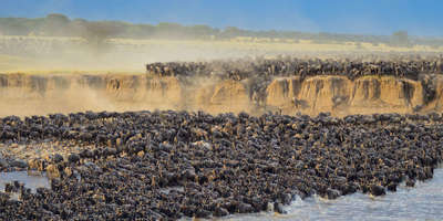 Greatmigration copy