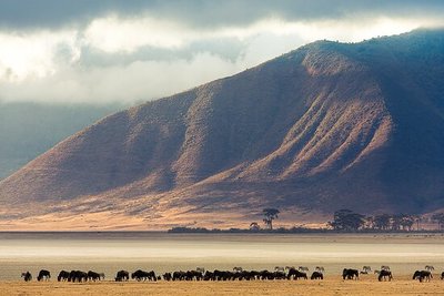 Ngorongoro 3