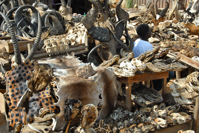 Togobeninculturalexplorer07