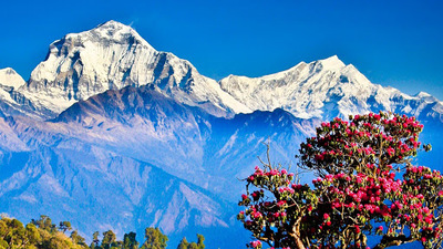 Dhaulagiri