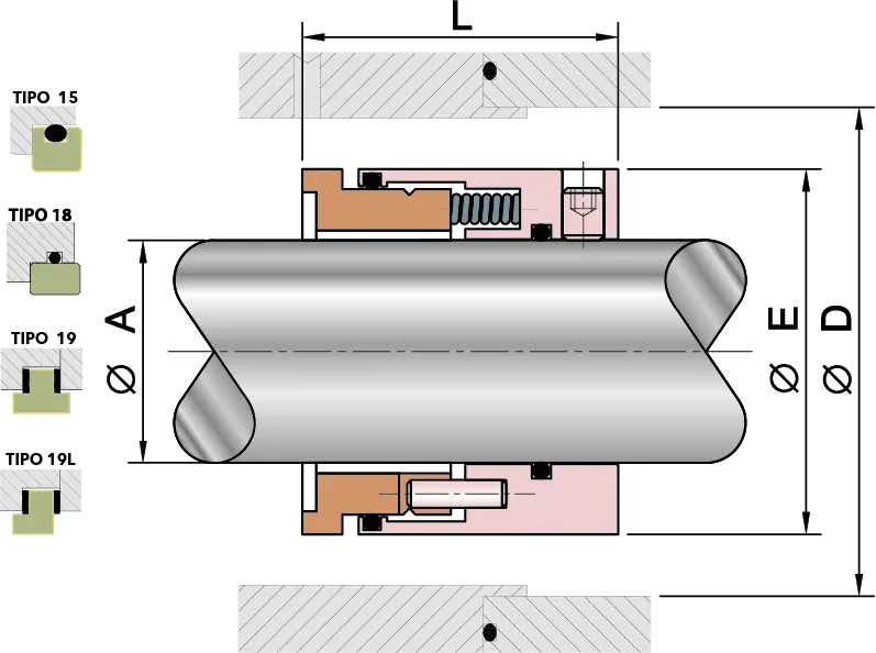 TS55 - DIBUJO1