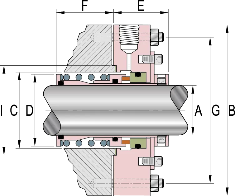 TS75 - DIBUJO 21
