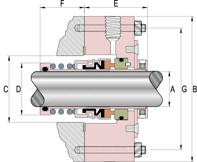 TS81 - DIBUJO 21