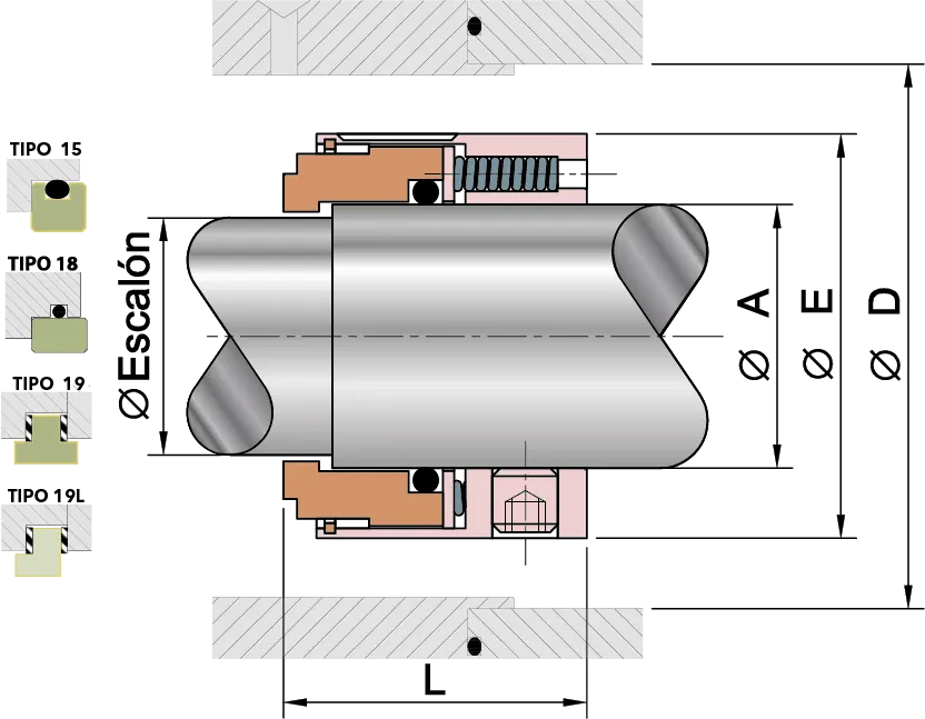 TS8B - DIBUJO1