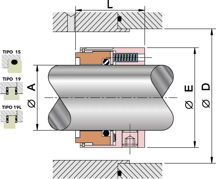TS8T - DIBUJO1