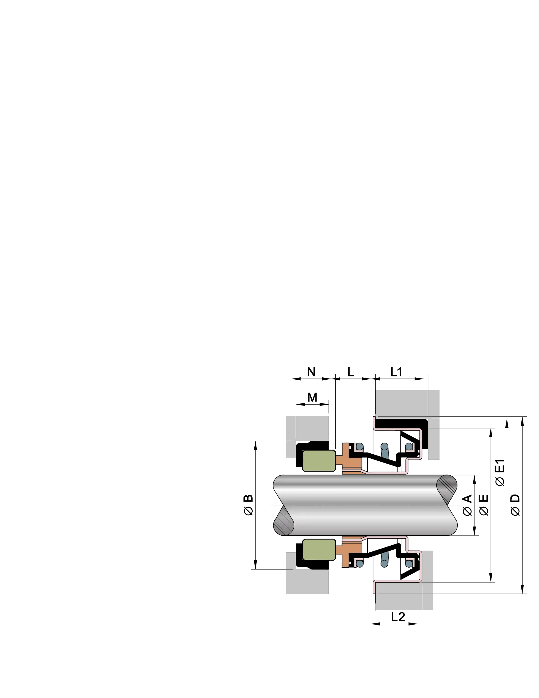 TSC-dibujo