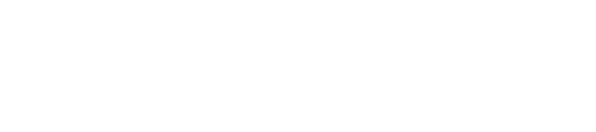 Tourni.pro