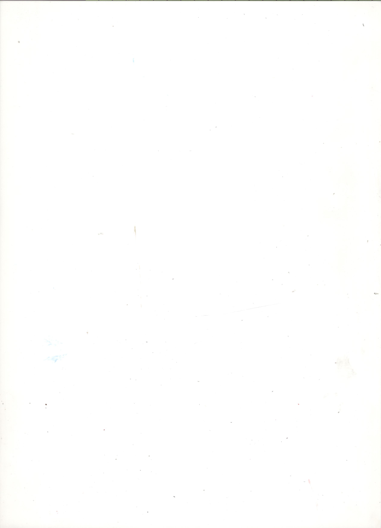 Project Photo