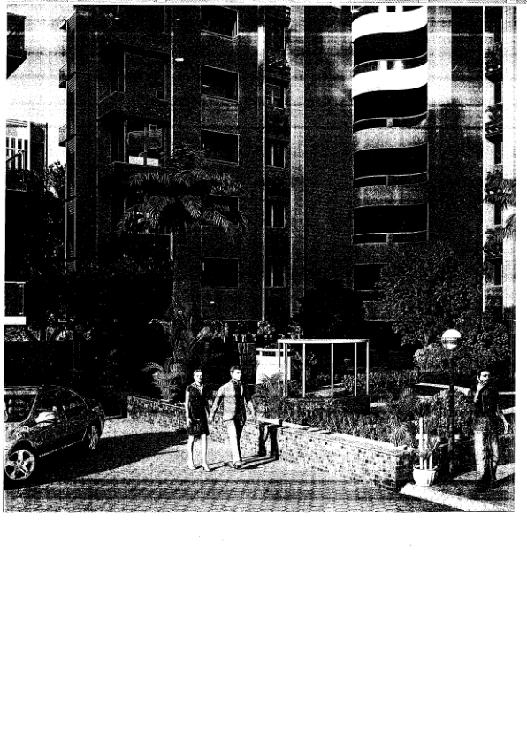 Project Photo