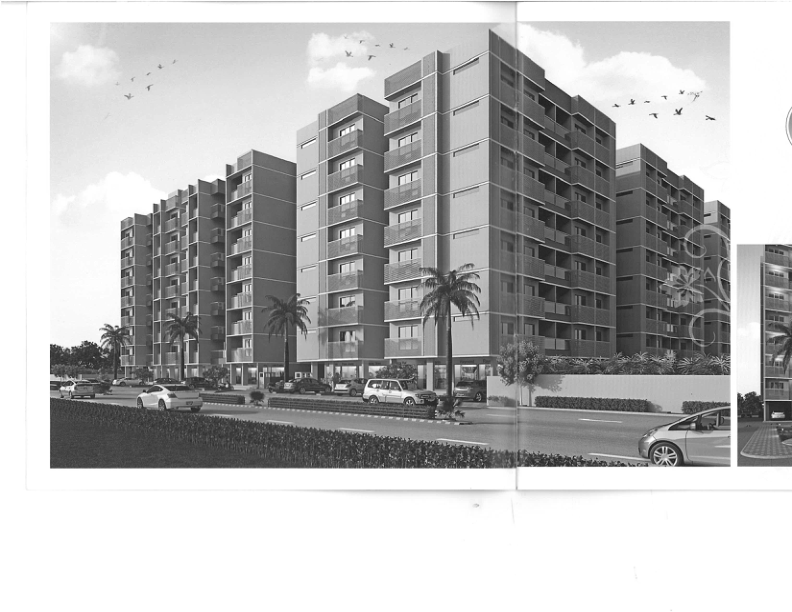 Project Photo