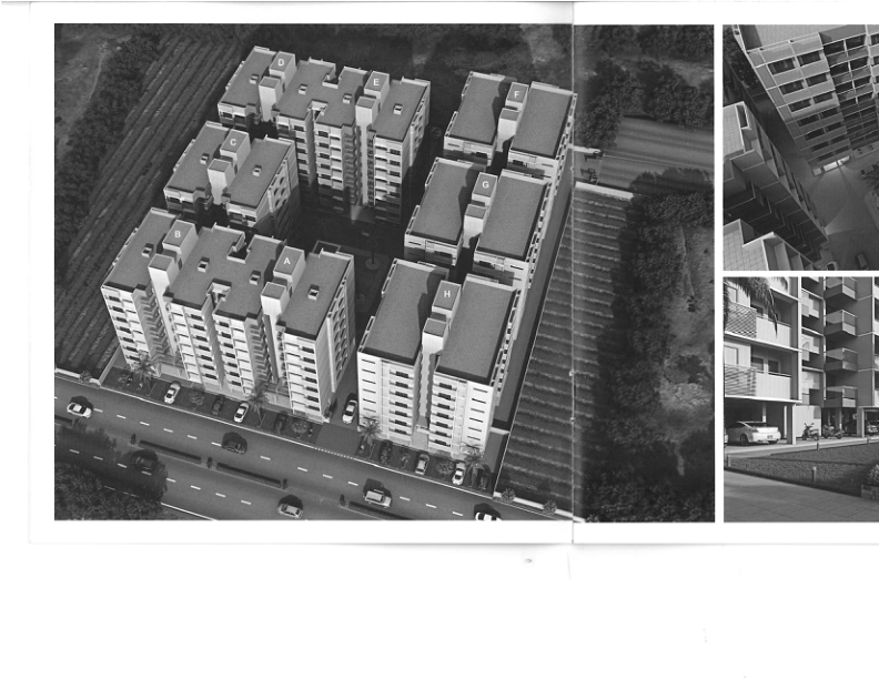 Project Photo