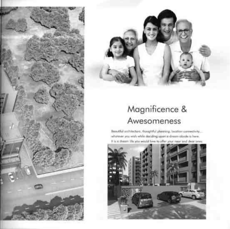 Project Photo