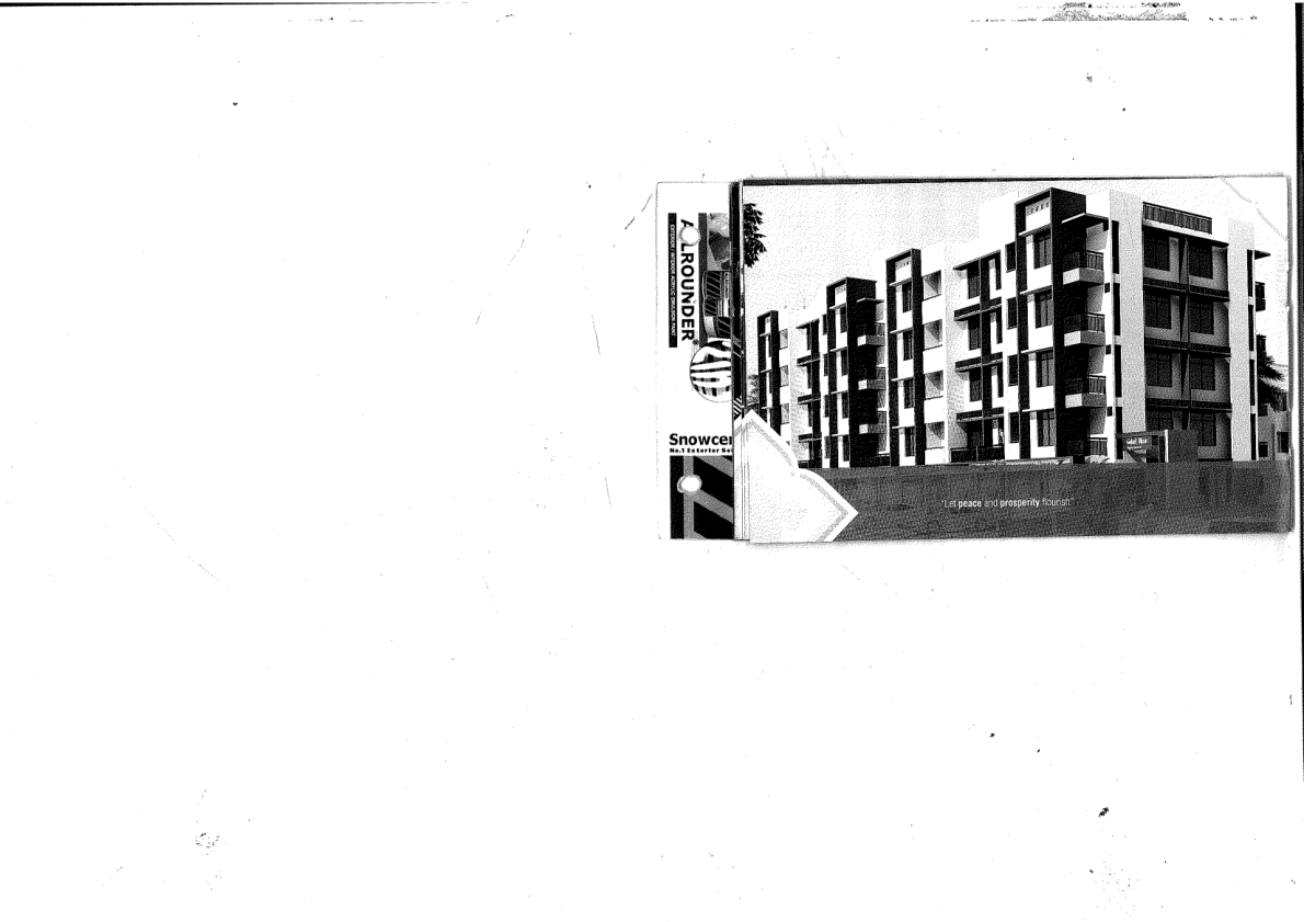 Project Photo