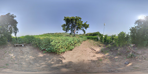 Project Photo