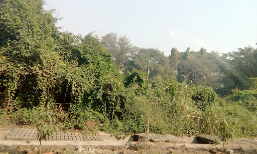 Project Photo