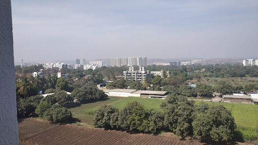 Project Photo