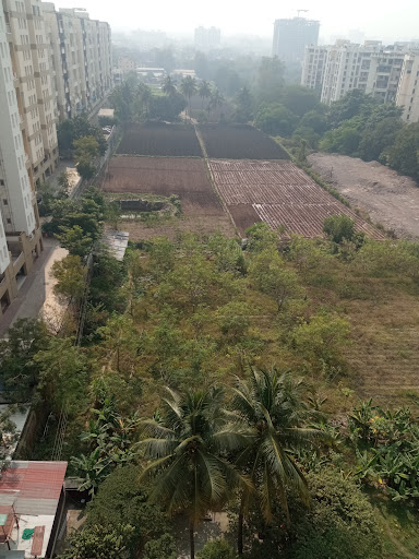 Project Photo