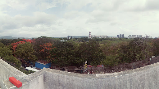 Project Photo