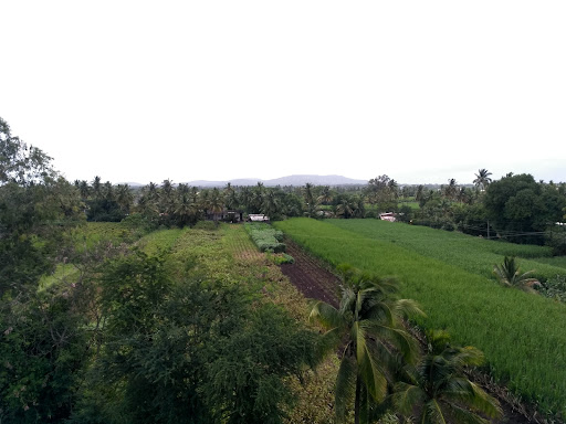 Project Photo