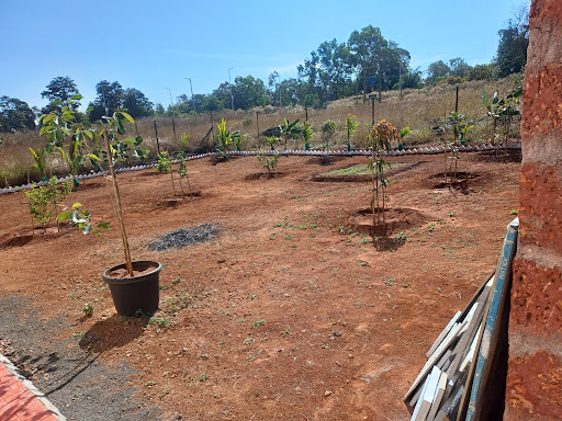 Project Photo