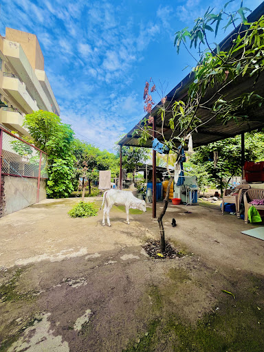 Project Photo