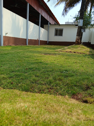 Project Photo
