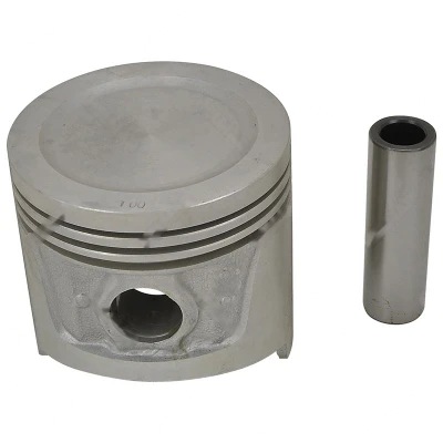 12010-R9006 PISTÓN & PASADOR (1.00MM)