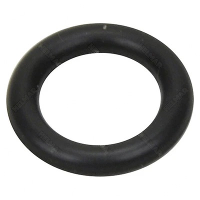 1557565 O-ANILLO