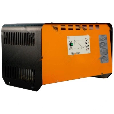 30-045 CARGADOR (1 PH. 48V 30A PLUGIN)