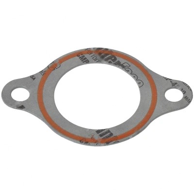 30100046 EMPACADURA, TERMOSTATO