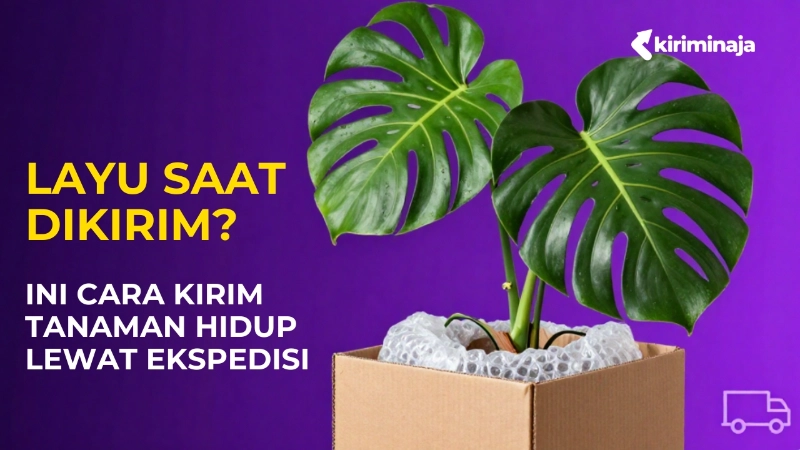 tips-kirim-tanaman-hidup-lewat-ekspedisi