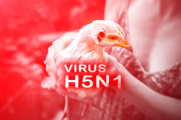 รู้เท่าทัน ไข้หวัดนก H5N1 ระบาดในจีน