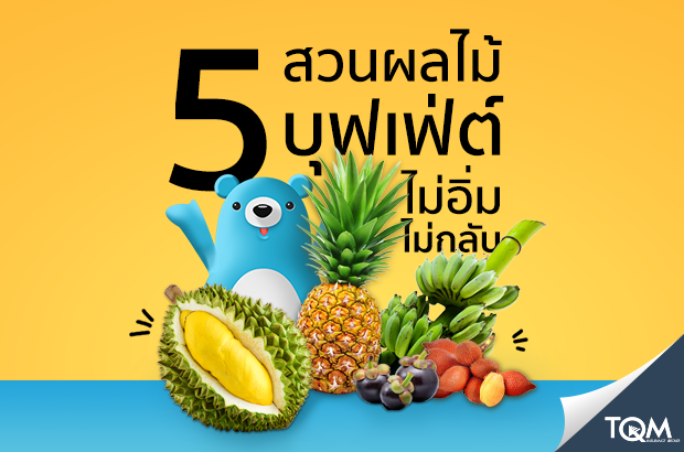 5 สวนผลไม้บุฟเฟ่ต์