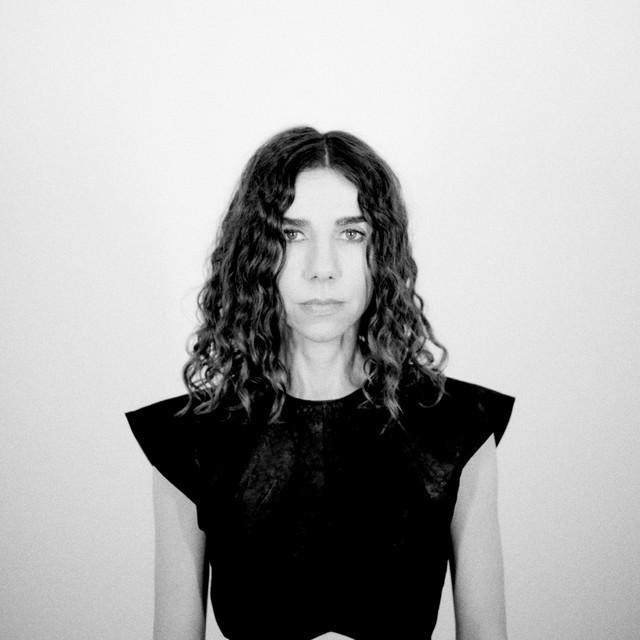 PJ Harvey image