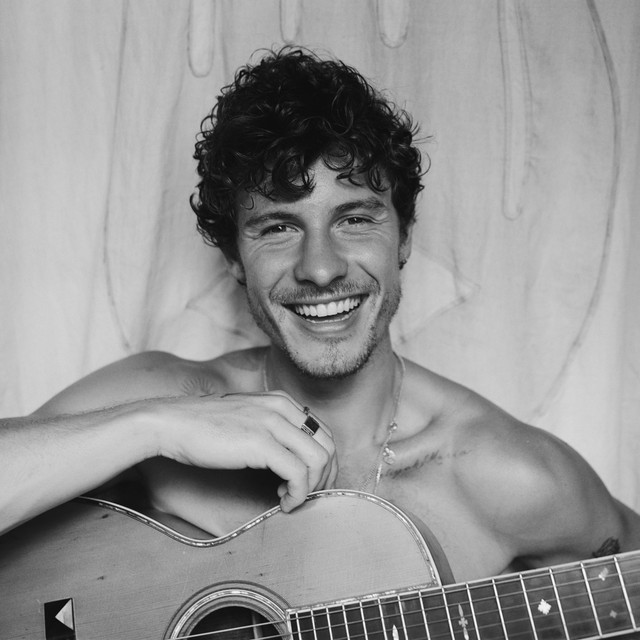 Shawn Mendes image