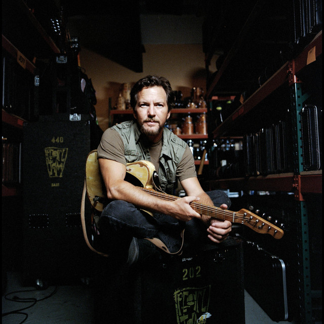 Eddie Vedder image