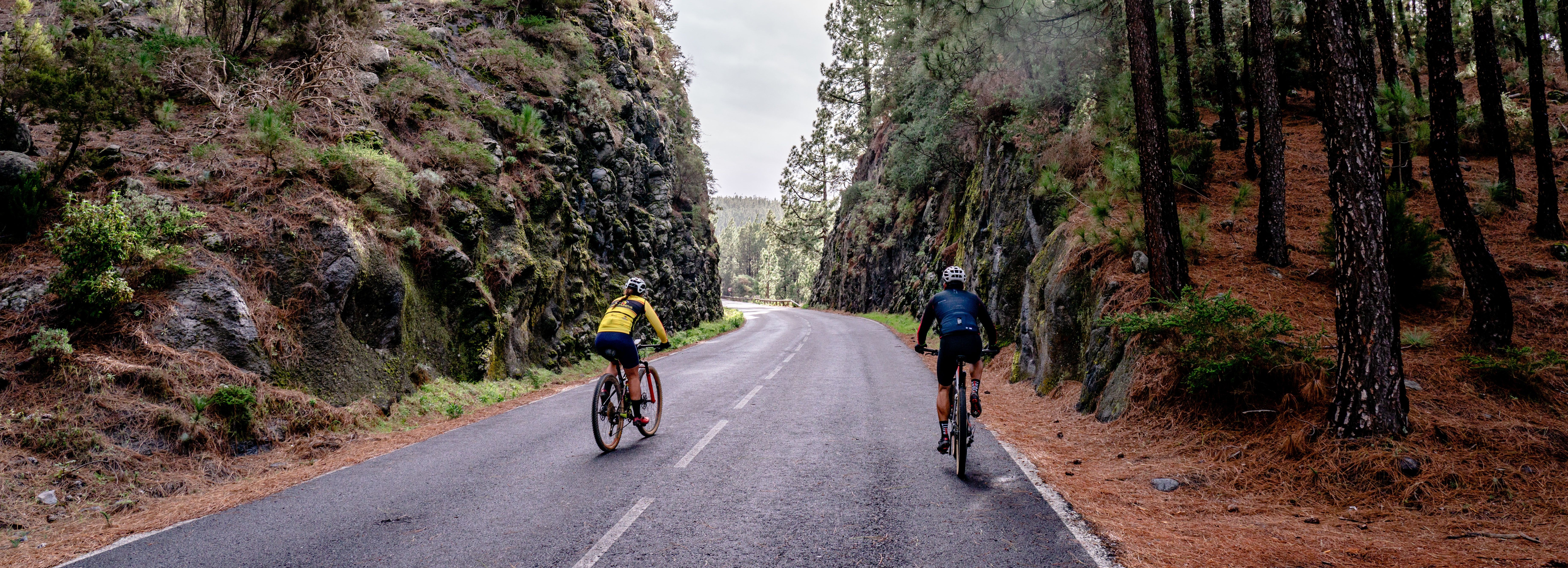 img carrera