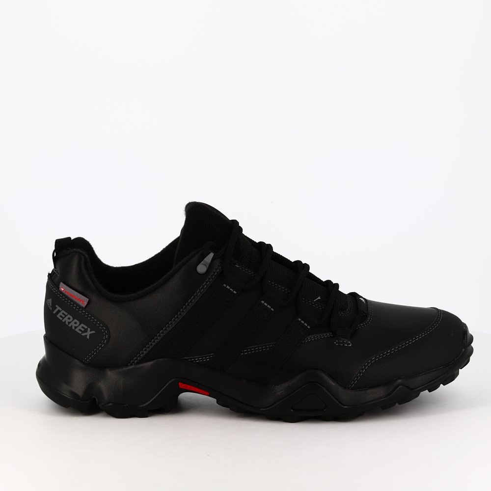 adidas Terrex Ax2R Beta Cw buy and 