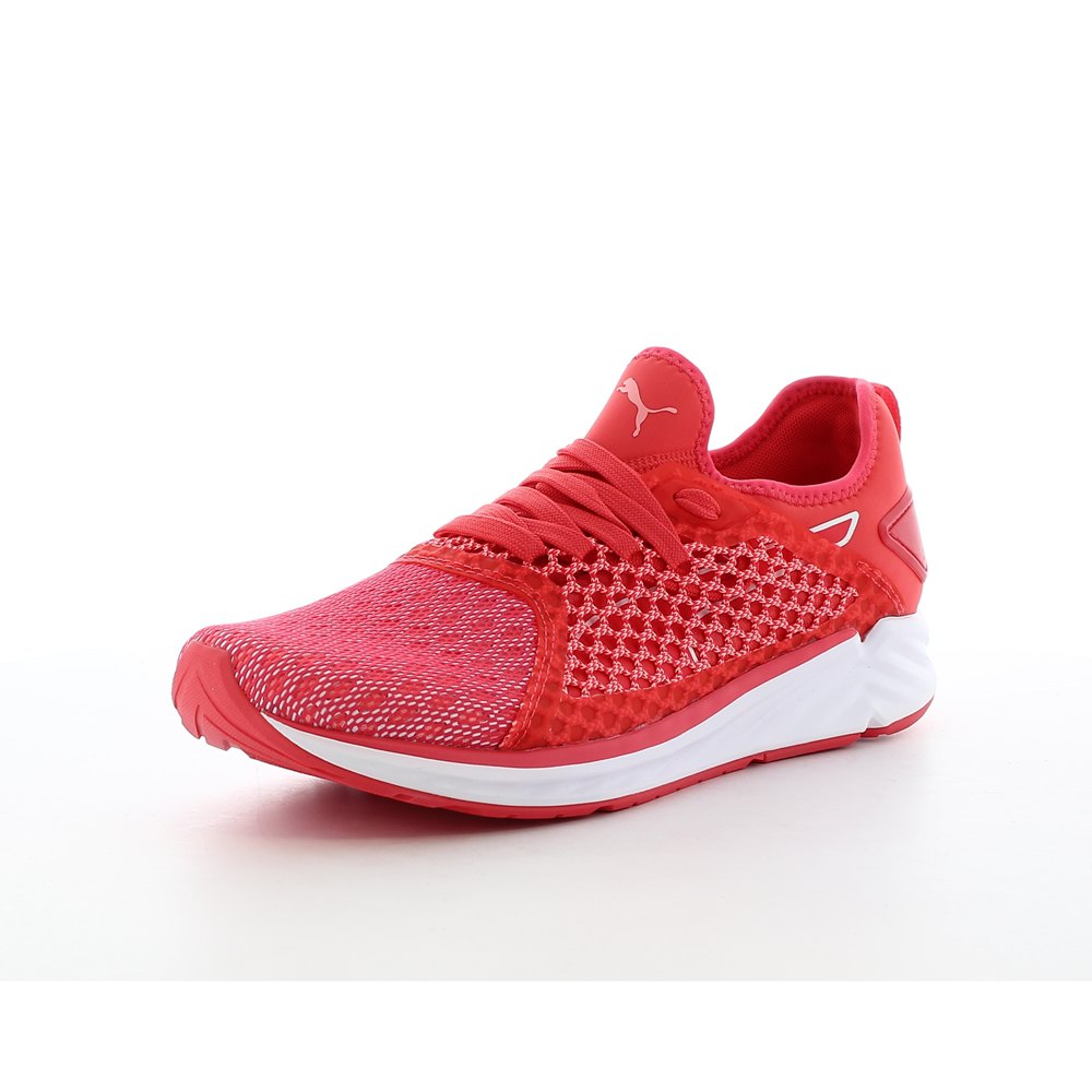 puma ignite netfit 4